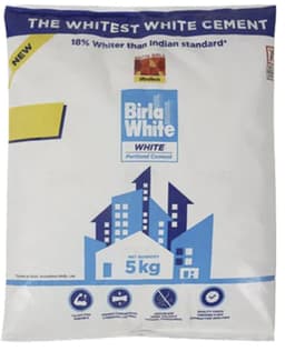 Birla White Putty 20kg 2